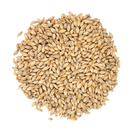 Barley kernels